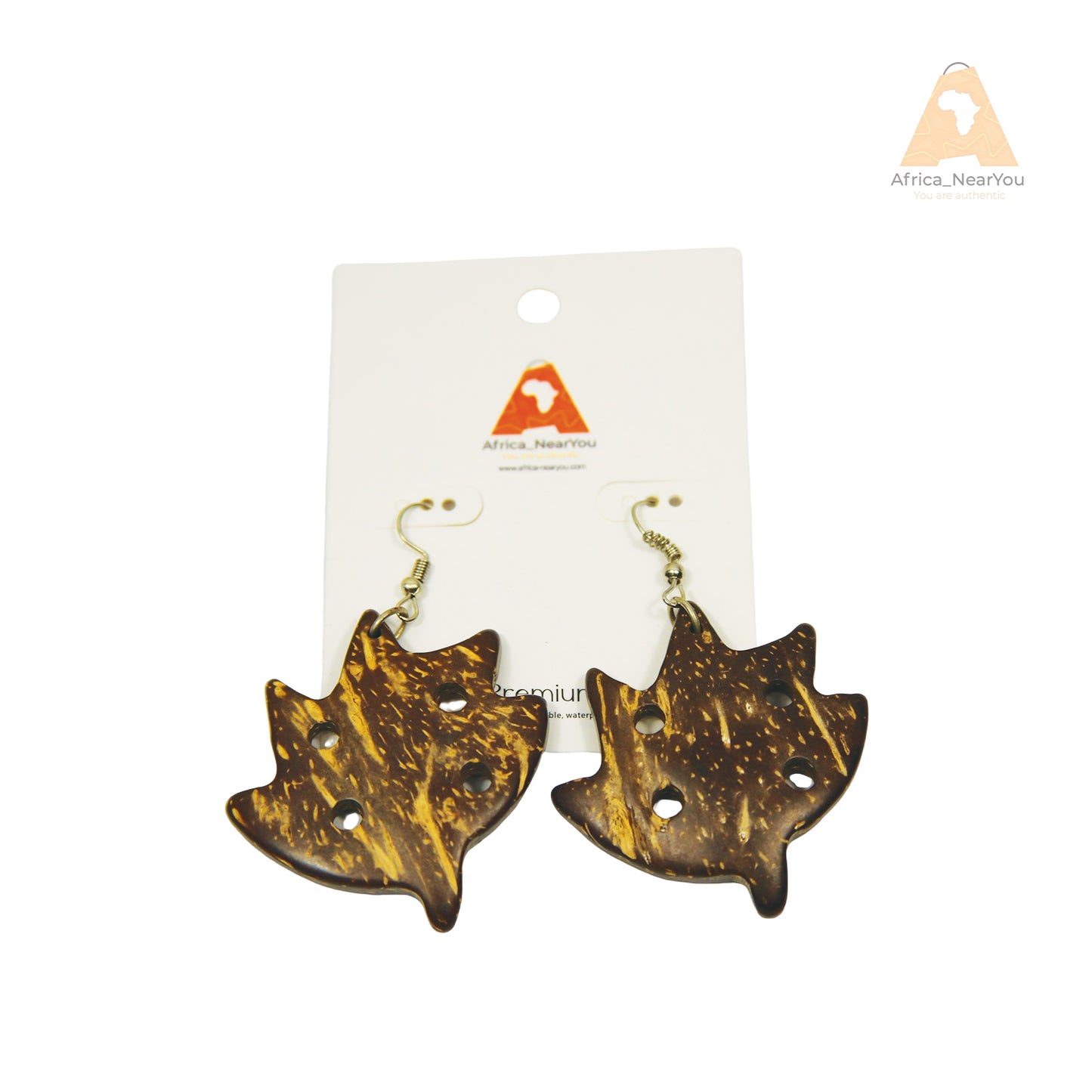 Handmade Coconut Shell Earrings